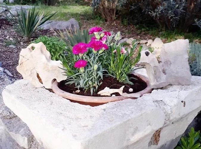 With A Parking Space Brsecine, Dubrovnik - 8548 * Zaton (Dubrovnik-Neretva)